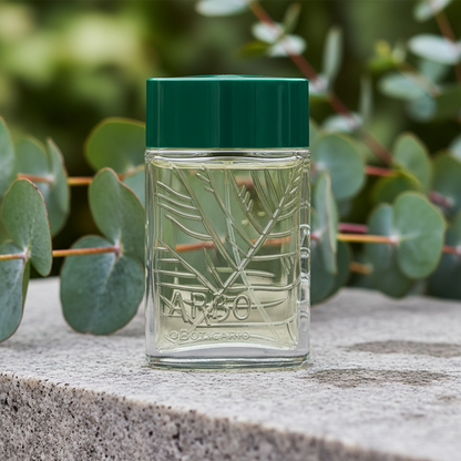 Arbo Eau de Toilette 100ml - O Boticário | Parfum Homme